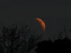 In pictures: UK stargazers wake up to lunar eclipse